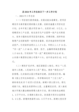县2024年工作总结及下一步工作计划
