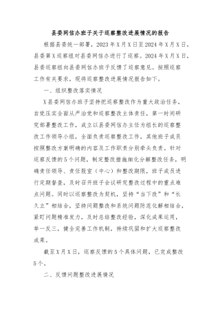 县委网信办班子关于巡察整改进展情况的报告