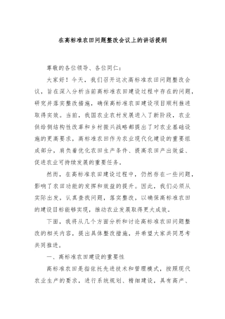 在高标准农田问题整改会议上的讲话提纲