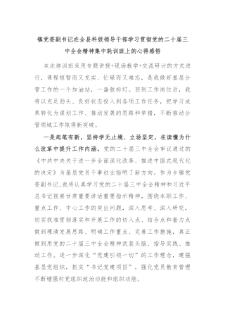 镇党委副书记在全县科级领导干部学习贯彻党的二十届三中全会精神集中轮训班上的心得感悟
