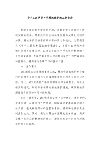 中共XXX党委关于耕地保护的工作安排