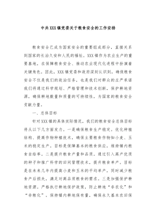 中共XXX镇党委关于粮食安全的工作安排