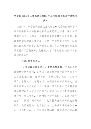 党支部2024年工作总结及2025年工作规划（综合行政执法队）