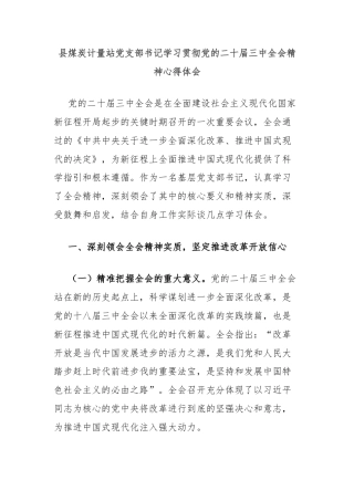县煤炭计量站党支部书记学习贯彻党的二十届三中全会精神心得体会