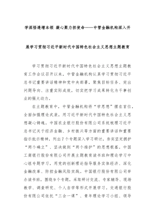 学深悟透增本领 凝心聚力担使命——中管金融机构深入开展学习贯彻总书记新时代中国特色社会主义思想主题教育