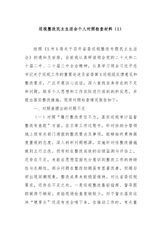 巡视整改民主生活会个人对照检查材料（1）