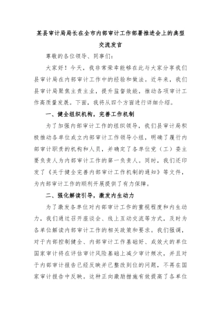 某县审计局局长在全市内部审计工作部署推进会上的典型交流发言