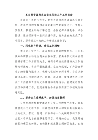 某自然资源局办公室主任近三年工作总结