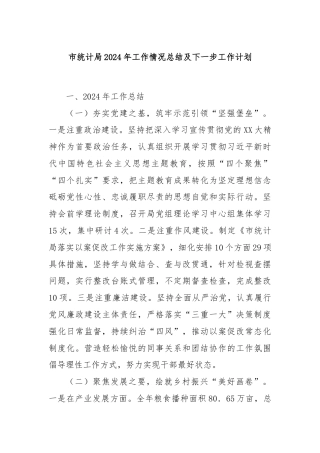 市统计局2024年工作情况总结及下一步工作计划