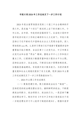 市统计局2024年工作总结及下一步工作计划