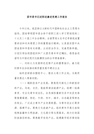 团市委书记述职述廉述党建工作报告