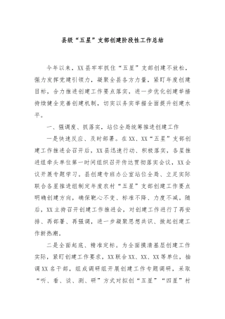 县级“五星”支部创建阶段性工作总结
