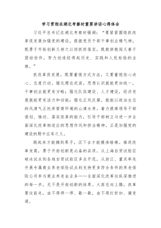 学习贯彻在湖北考察时重要讲话心得体会