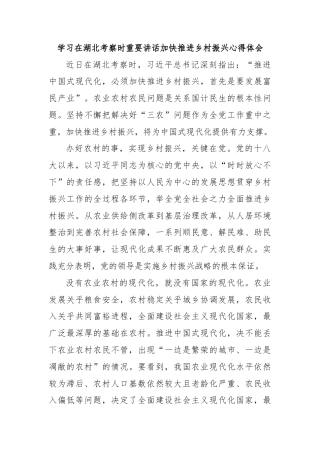 学习在湖北考察时重要讲话加快推进乡村振兴心得体会