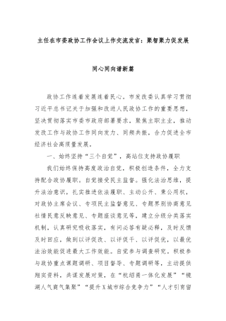 主任在市委政协工作会议上作交流发言：聚智聚力促发展同心同向谱新篇