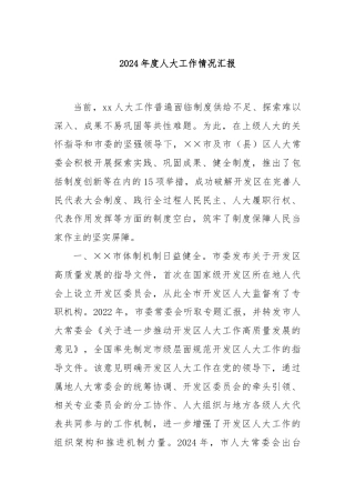2024年度人大工作情况汇报