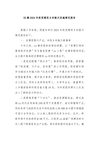 XX镇2024年抓党建促乡村振兴实施情况报告