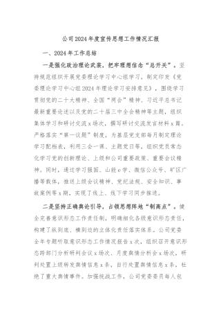 公司2024年度宣传思想工作情况汇报