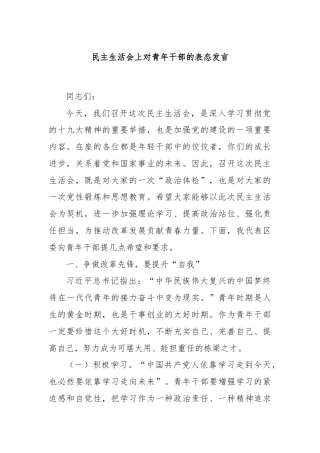 民主生活会上对青年干部的表态发言