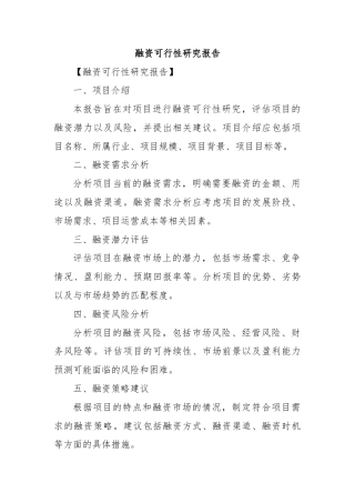融资可行性研究报告