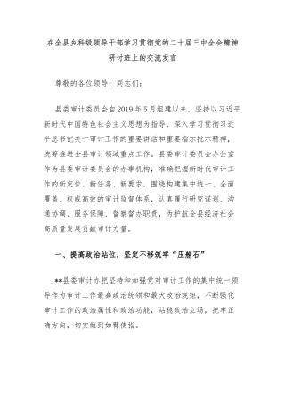 在全县乡科级领导干部学习贯彻党的二十届三中全会精神研讨班上的交流发言