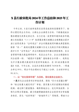 X县行政审批局2024年工作总结和2025年工作计划