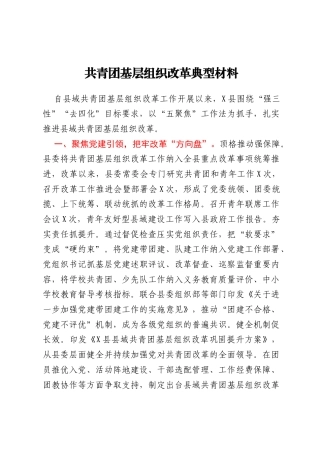 共青团基层组织改革典型材料
