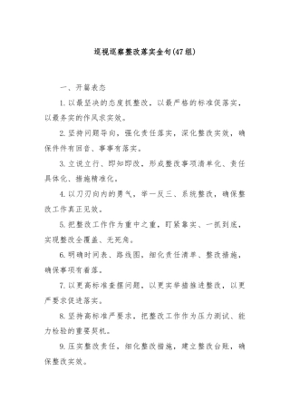 (47组)巡视巡察整改落实金句