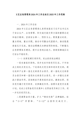 X区应急管理局2024年工作总结及2025年工作思路