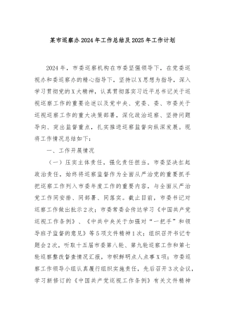 某市巡察办2024年工作总结及2025年工作计划