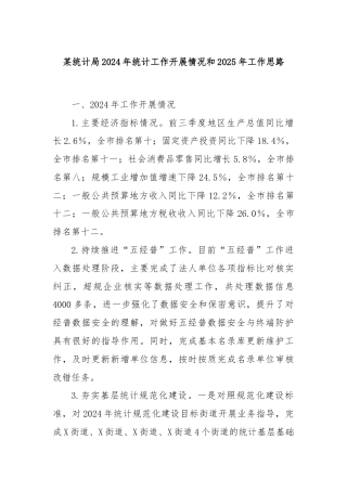 某统计局2024年统计工作开展情况和2025年工作思路