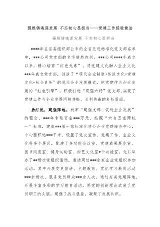 强根铸魂谋发展 不忘初心显担当——党建工作经验做法