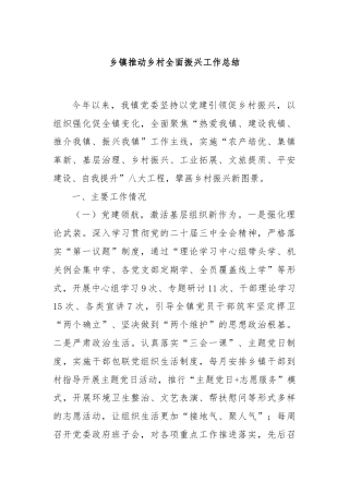 乡镇推动乡村全面振兴工作总结