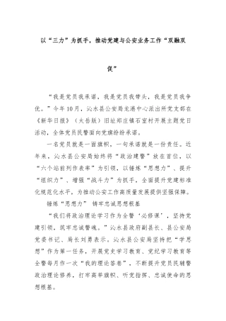 以“三力”为抓手，推动党建与公安业务工作“双融双促”