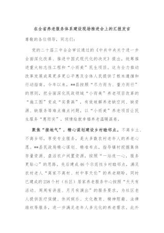 在全省养老服务体系建设现场推进会上的汇报发言