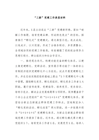 “三新”党建工作典型材料