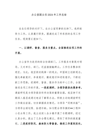 办公室副主任2024年工作总结