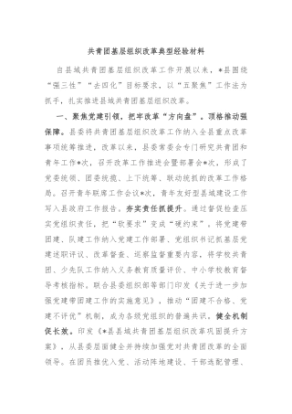 共青团基层组织改革典型经验材料