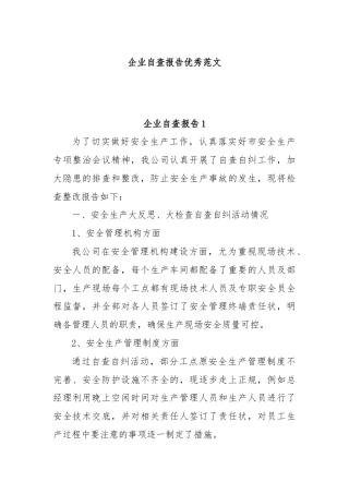 企业自查报告优秀范文