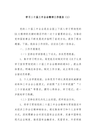学习二十届三中全会精神工作报告（1）
