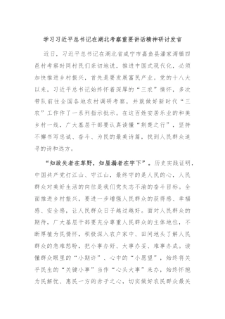 学习习近平总书记在湖北考察重要讲话精神研讨发言