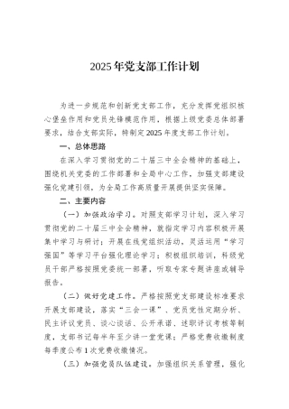 2025年党支部工作计划