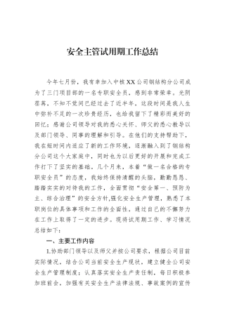 安全主管试用期工作总结