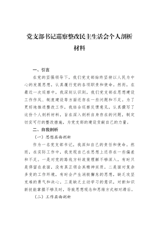 党支部书记巡察整改民主生活会个人剖析材料