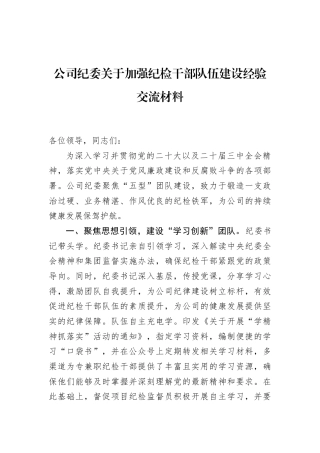 公司纪委关于加强纪检干部队伍建设经验交流材料