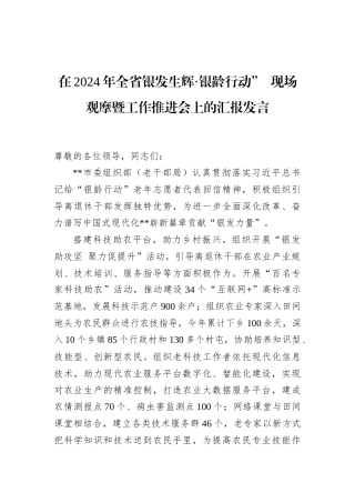 在2024年全省银发生辉·银龄行动”+现场观摩暨工作推进会上的汇报发言