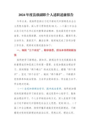 2024年度县级副职个人述职述廉报告