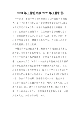 2024年工作总结及2025年工作打算