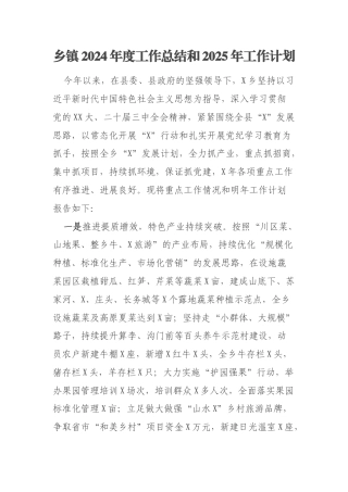 乡镇2024年度工作总结和2025年工作计划