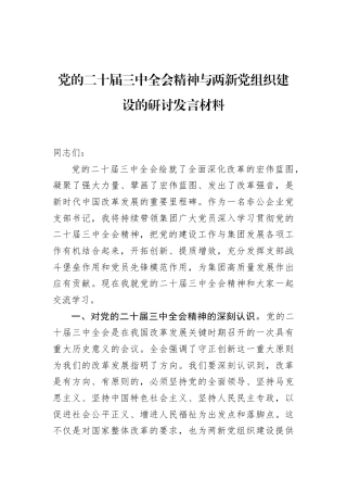 党的二十届三中全会精神与两新党组织建设的研讨发言材料